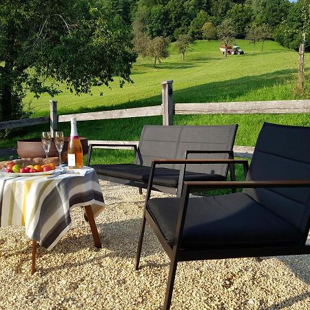 Business Apartment Schwarzach Esterno foto