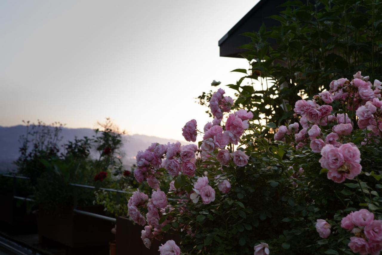 Business Apartment Schwarzach Esterno foto